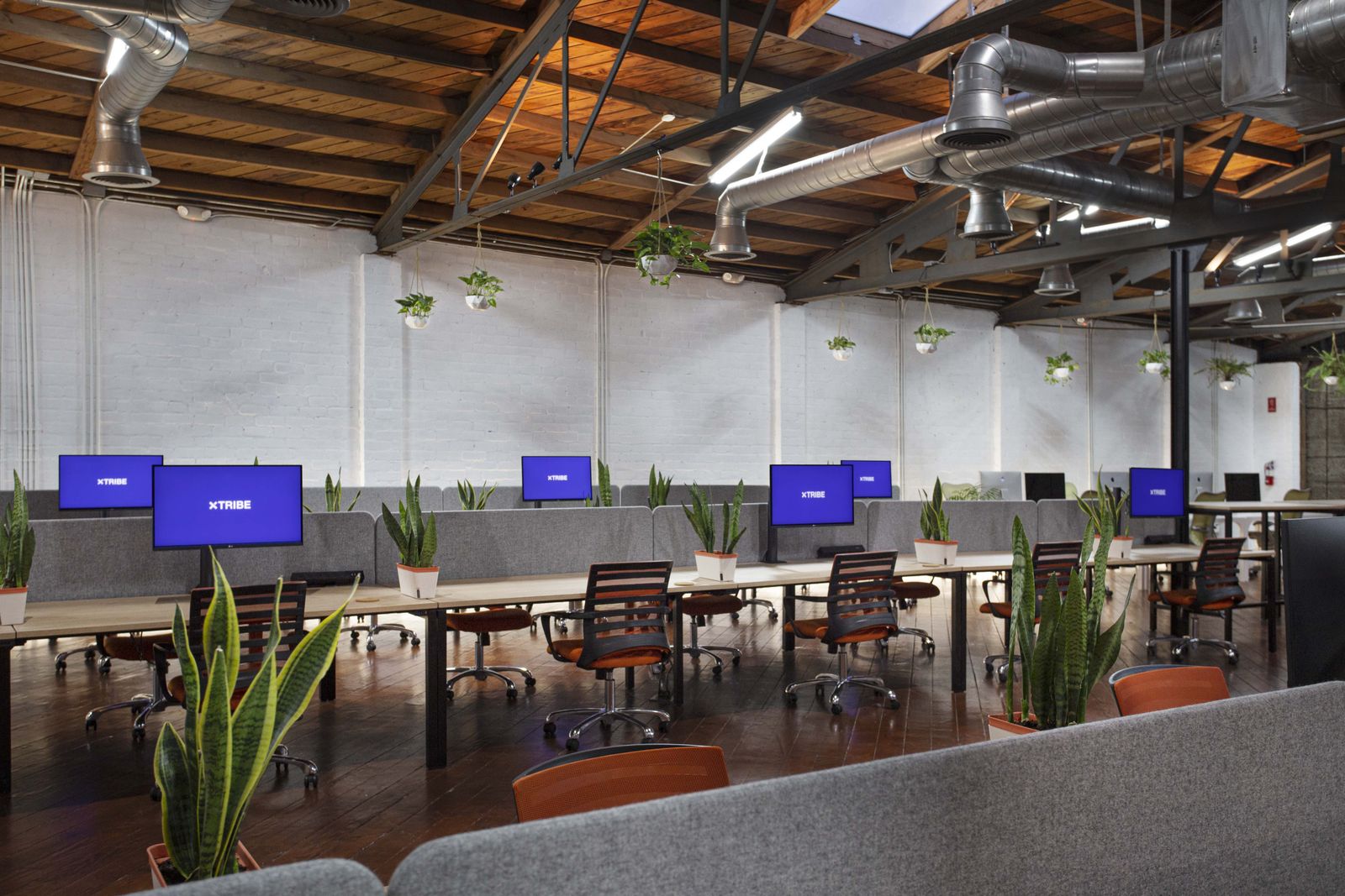 xTribe Coworking Space